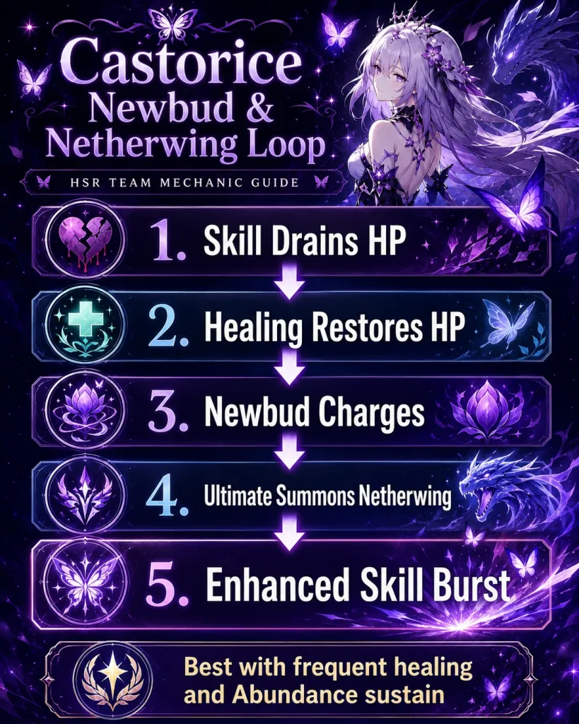 Castorice Newbud and Netherwing team mechanic explained for HSR